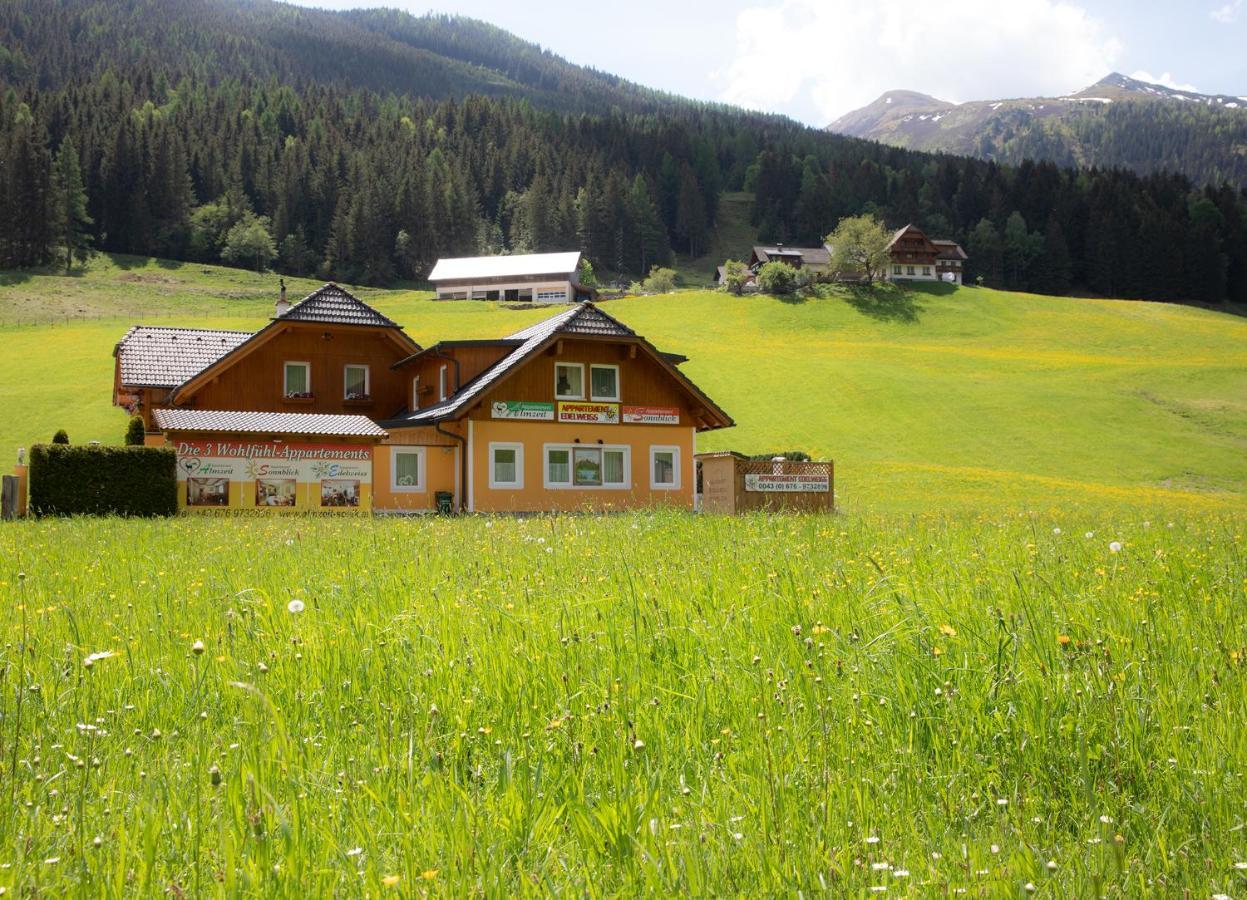 Appartement Edelweiss Mit Infrarotkabine Grosssolk 外观 照片