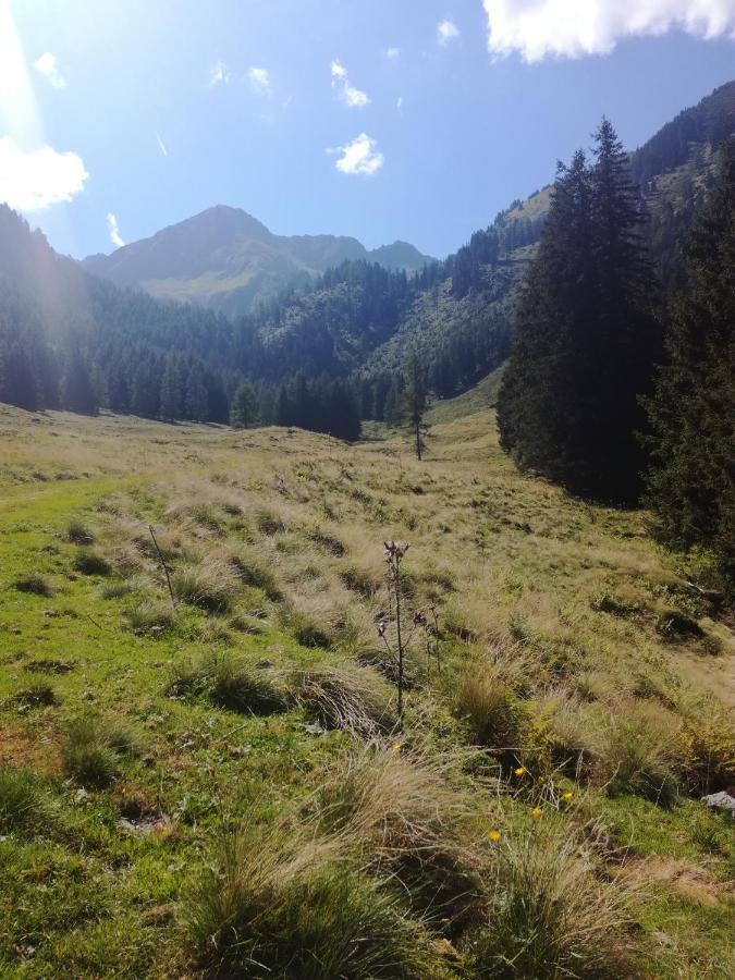 Appartement Edelweiss Mit Infrarotkabine Grosssolk 外观 照片