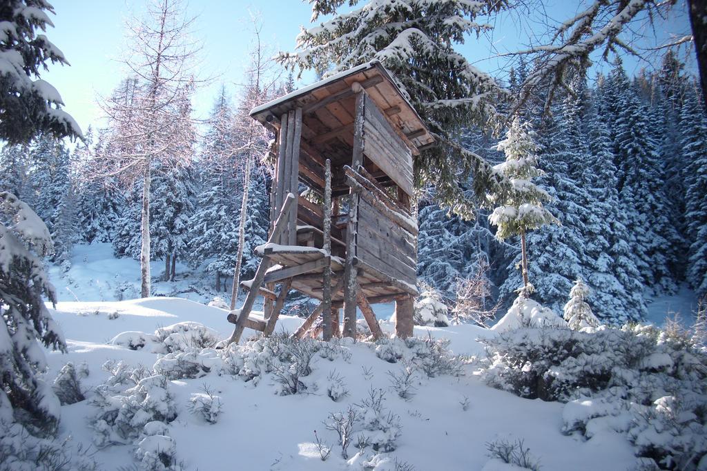 Appartement Edelweiss Mit Infrarotkabine Grosssolk 外观 照片