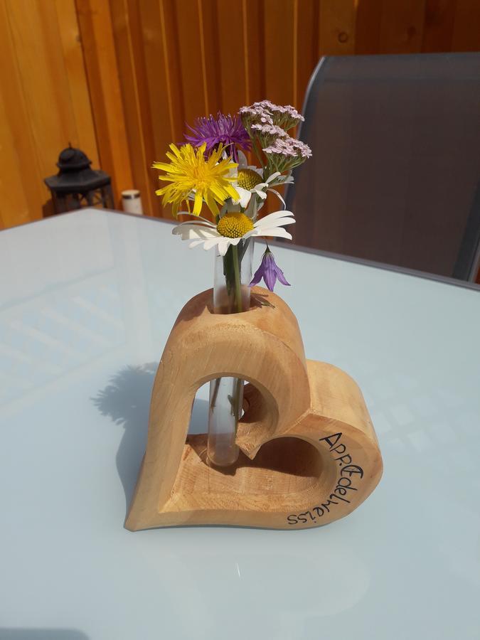 Appartement Edelweiss Mit Infrarotkabine Grosssolk 外观 照片